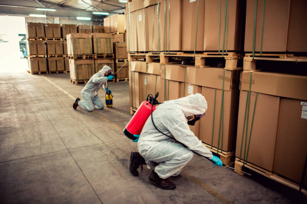 Best Rat Extermination Near Me  in Cedar Falls, IA