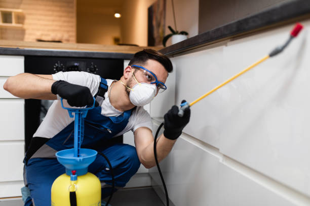Best Commercial Pest Control Services  in Cedar Falls, IA