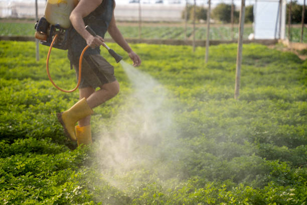 Trusted Cedar Falls, IA Pest Control Experts