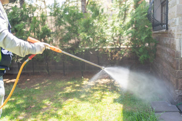Best Flea Control Services  in Cedar Falls, IA