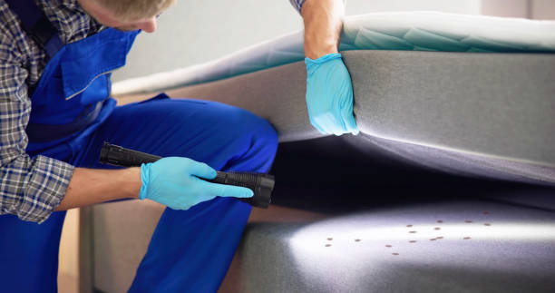 Best Wasp Removal Services  in Cedar Falls, IA